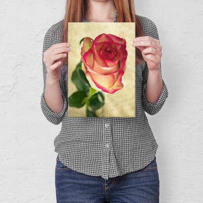 Poster metal natural rose gift