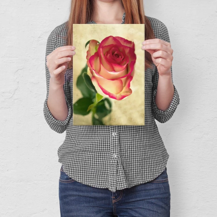 Plakat metalowy natural rose Prezent