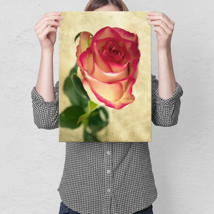Plakat metalowy natural rose Prezent