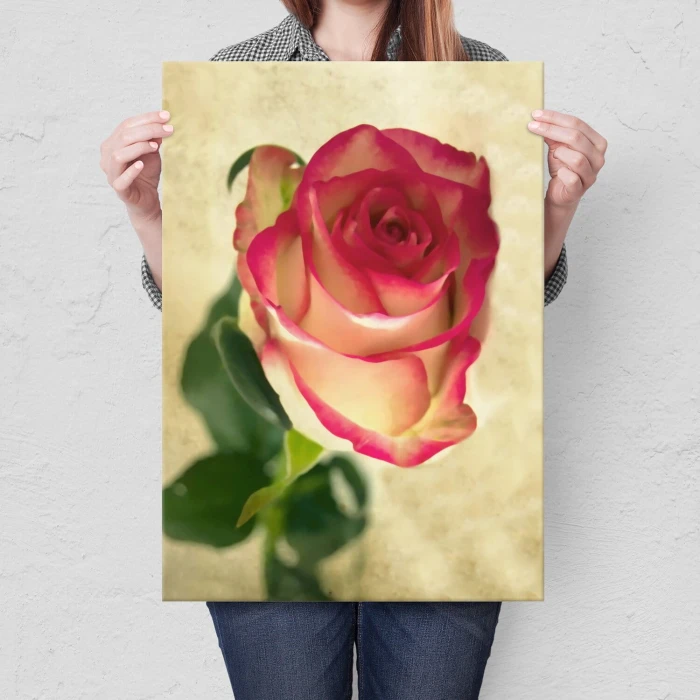 Poster metal natural rose gift