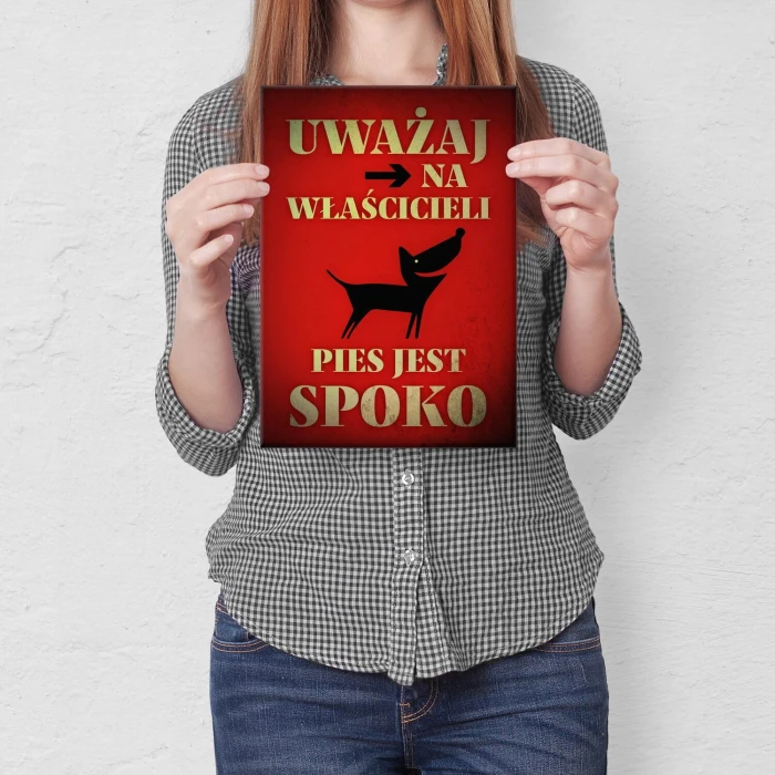 Poster metal pies jest spoko gift