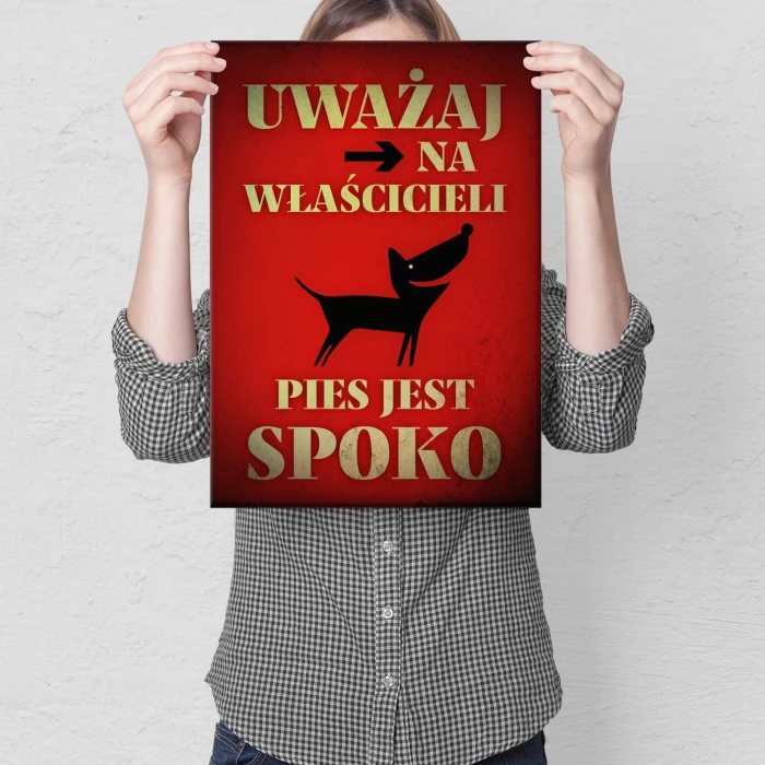 Poster metal pies jest spoko gift