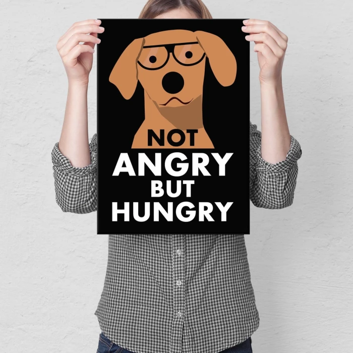 Plakat metalowy Not angry but hungry Prezent