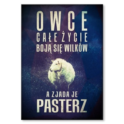 Plakat metalowy owce boją się wilków Prezent
