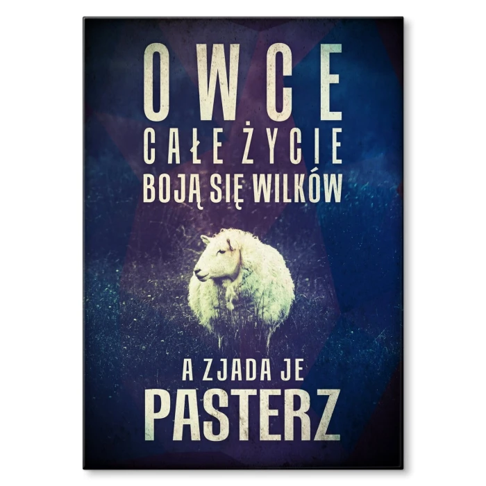 Plakat metalowy owce boją się wilków Prezent