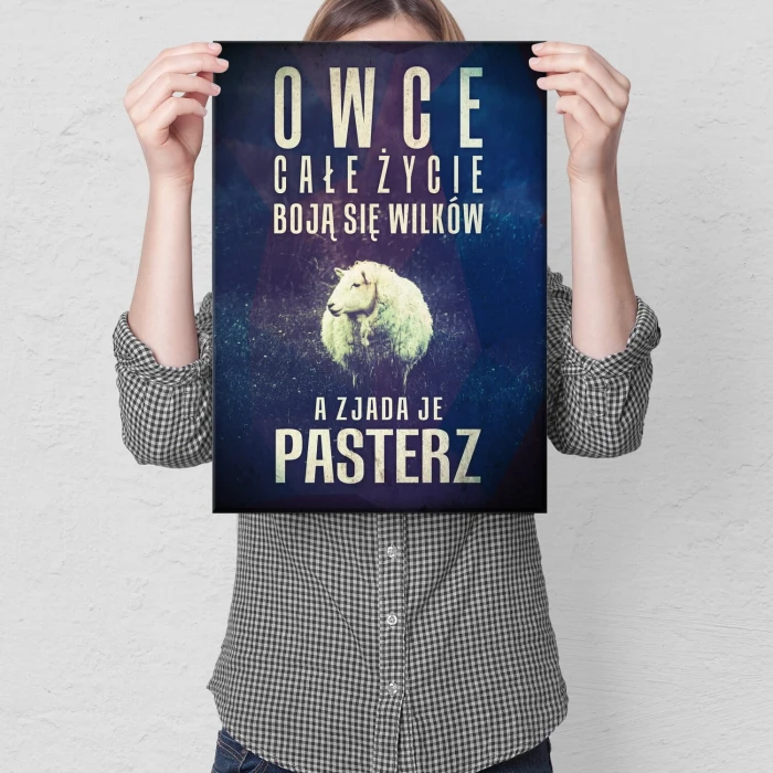 Poster metal owce boją się wilków gift