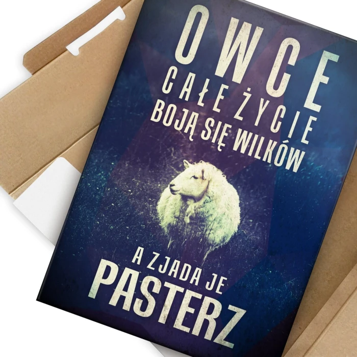 Poster metal owce boją się wilków gift