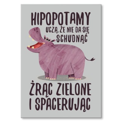 Poster metal Hipopotamy uczą gift