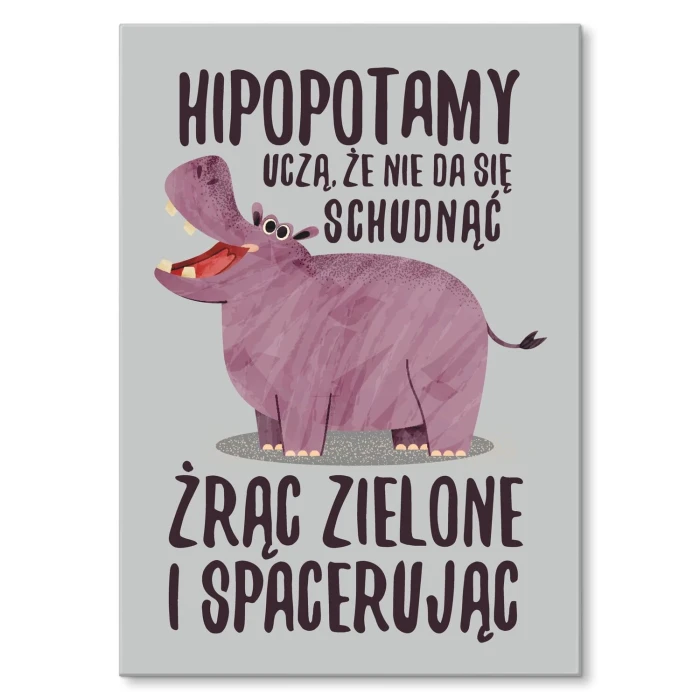 Poster metal Hipopotamy uczą gift