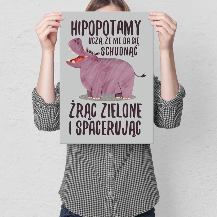 Plakat metalowy Hipopotamy uczą Prezent
