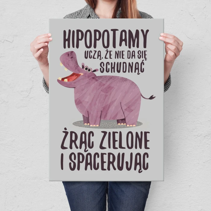 Poster metal Hipopotamy uczą gift