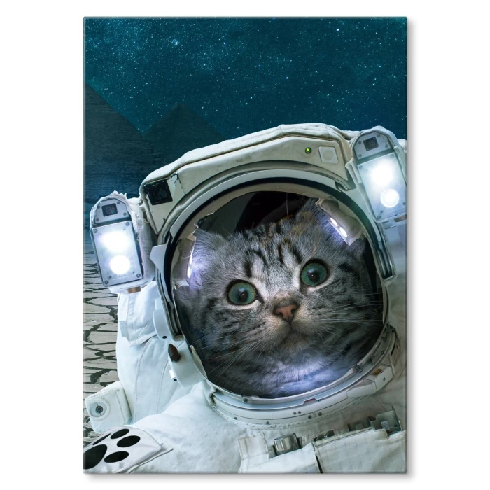 Poster metal CAT IN SPACE gift