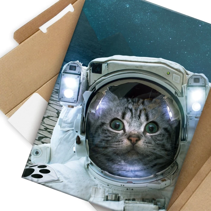 Poster metal CAT IN SPACE gift