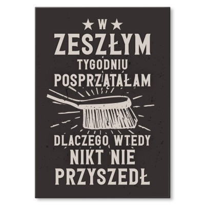 Plakat metalowy Posprzątałam Prezent