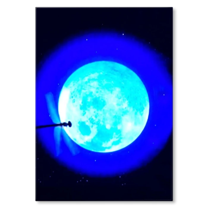 Plakat metalowy Drafonfly Prezent