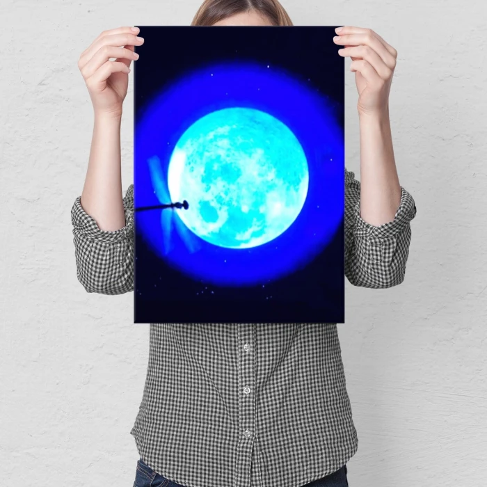 Plakat metalowy Drafonfly Prezent