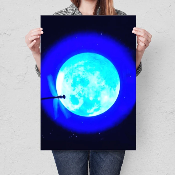 Poster metal Drafonfly gift