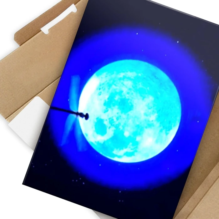 Plakat metalowy Drafonfly Prezent