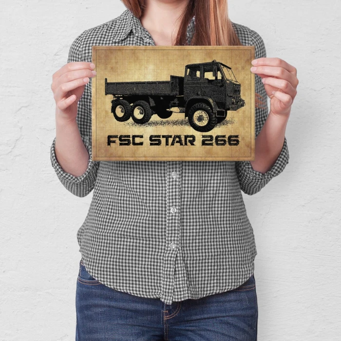 Poster metal FSC  Star 266 gift