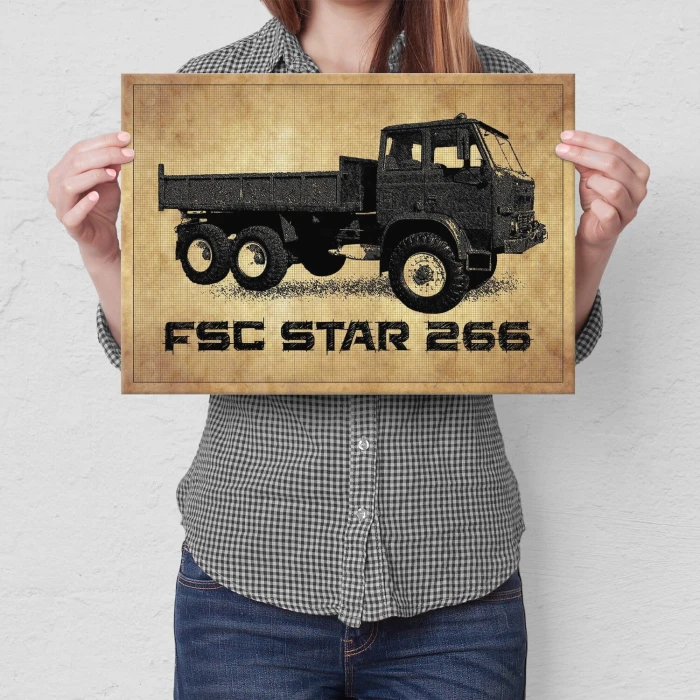 Poster metal FSC  Star 266 gift
