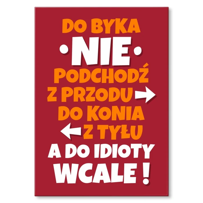 Plakat metalowy nie podchodź do idioty Prezent