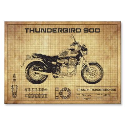 Plakat metalowy Thunderbird 900 Prezent