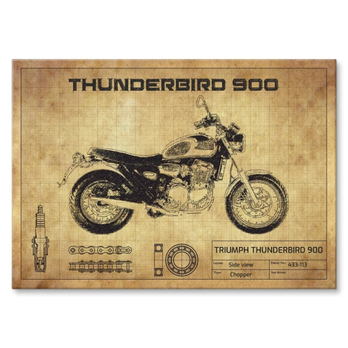 Poster metal Thunderbird 900 gift