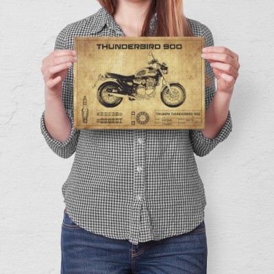 Plakat metalowy Thunderbird 900 Prezent