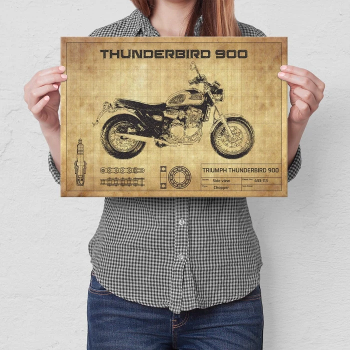 Poster metal Thunderbird 900 gift