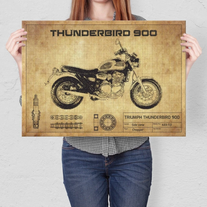 Plakat metalowy Thunderbird 900 Prezent