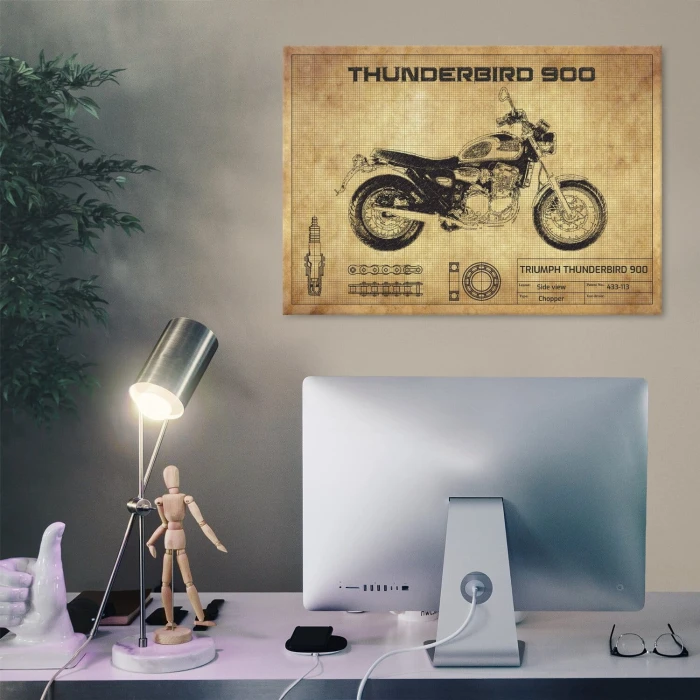 Poster metal Thunderbird 900 gift