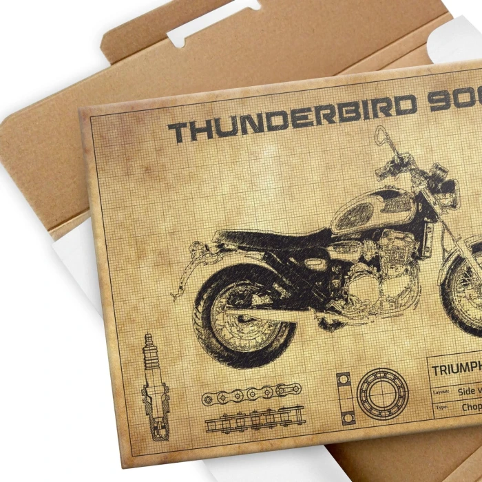 Plakat metalowy Thunderbird 900 Prezent