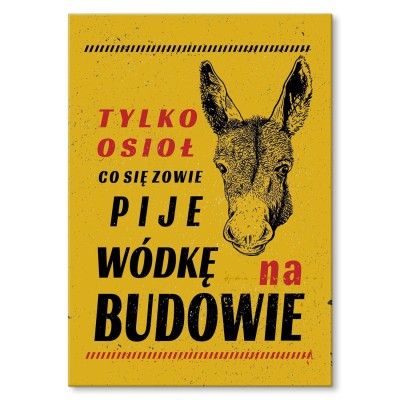 Poster metal tylko osioł gift