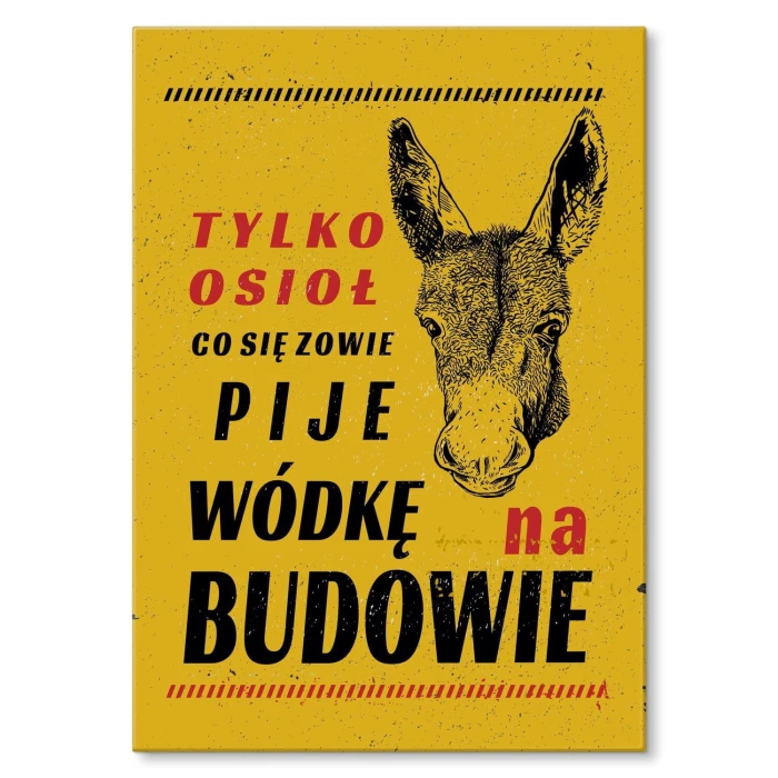 Plakat metalowy tylko osioł Prezent