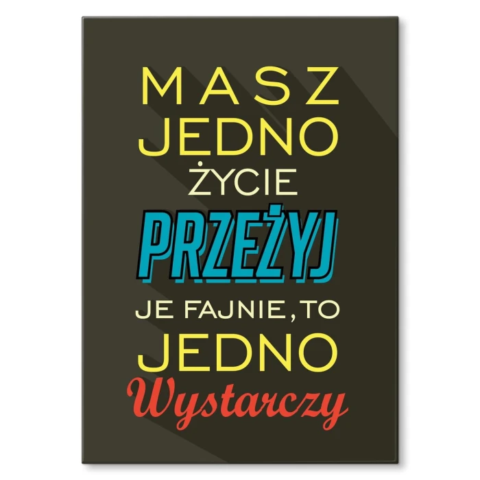 Poster metal masz jedno życie gift