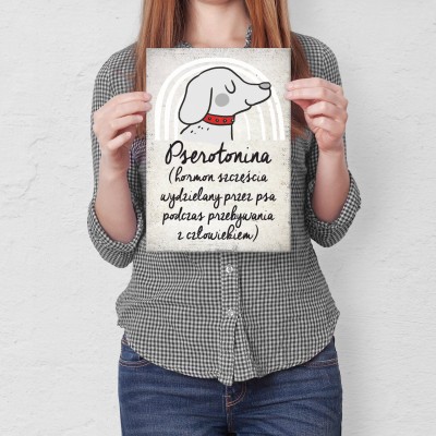 Plakat metalowy pserotonina Prezent