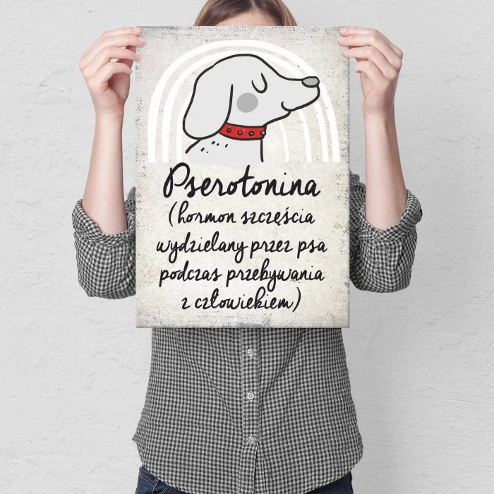 Plakat metalowy pserotonina Prezent