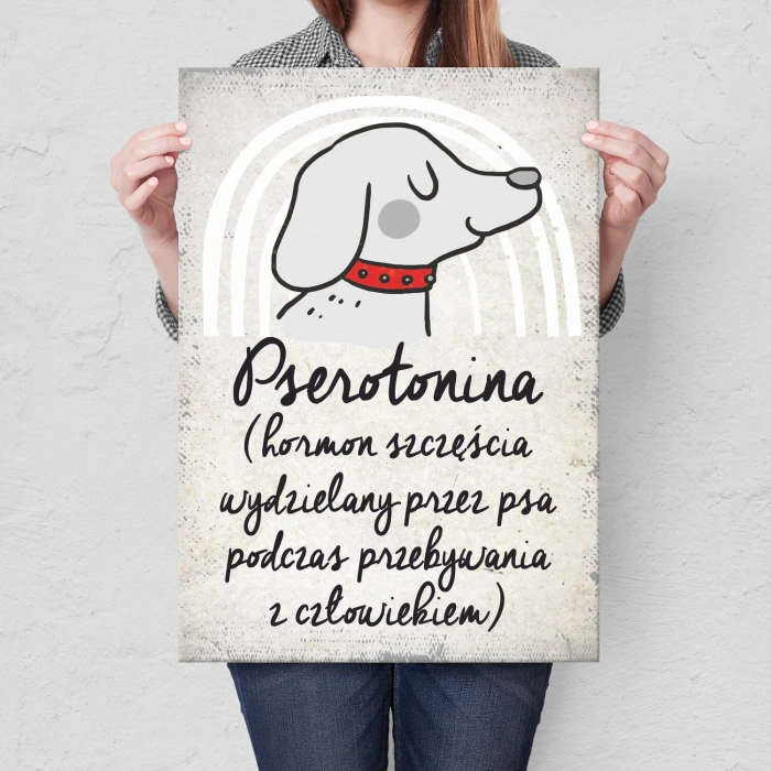 Plakat metalowy pserotonina Prezent