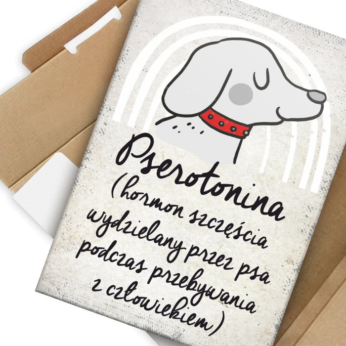 Plakat metalowy pserotonina Prezent