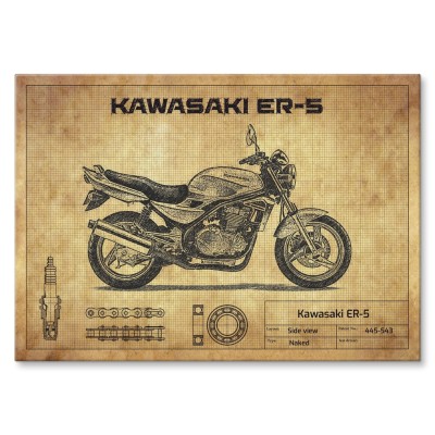 Poster metal Kawasaki ER-5 gift