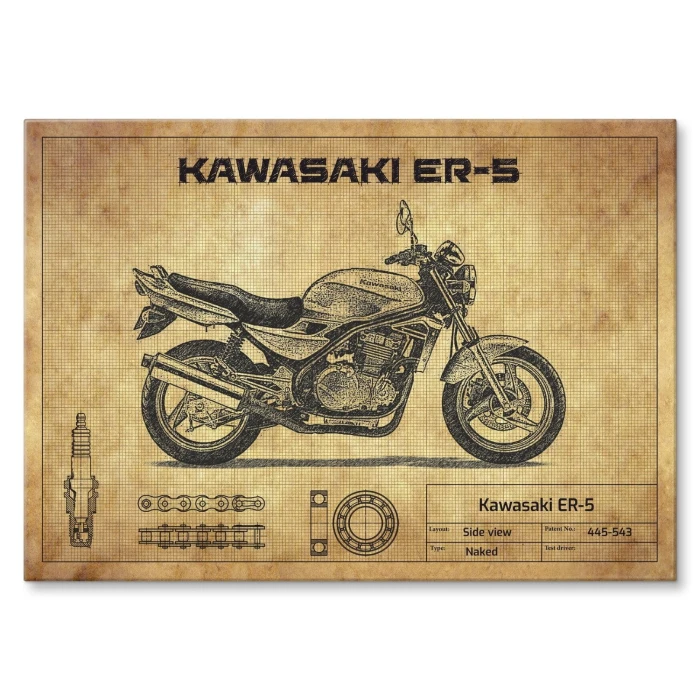 Plakat metalowy Kawasaki ER-5 Prezent