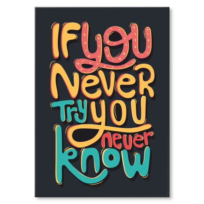 Poster metal IF YOU NEVER TRY gift