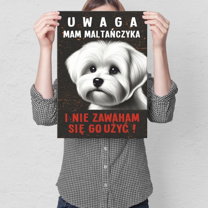 Plakat metalowy mam maltańczyka Prezent
