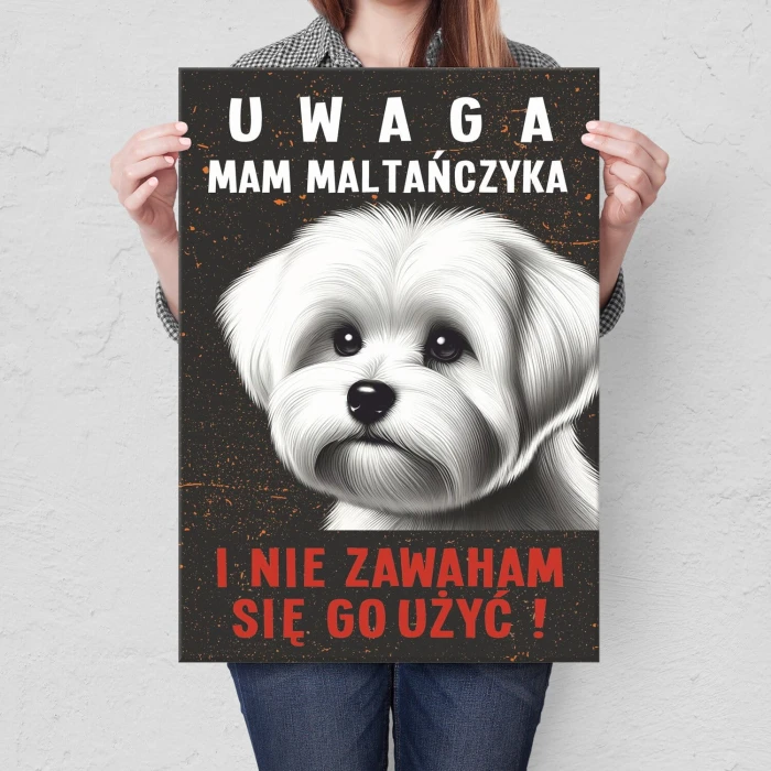 Plakat metalowy mam maltańczyka Prezent