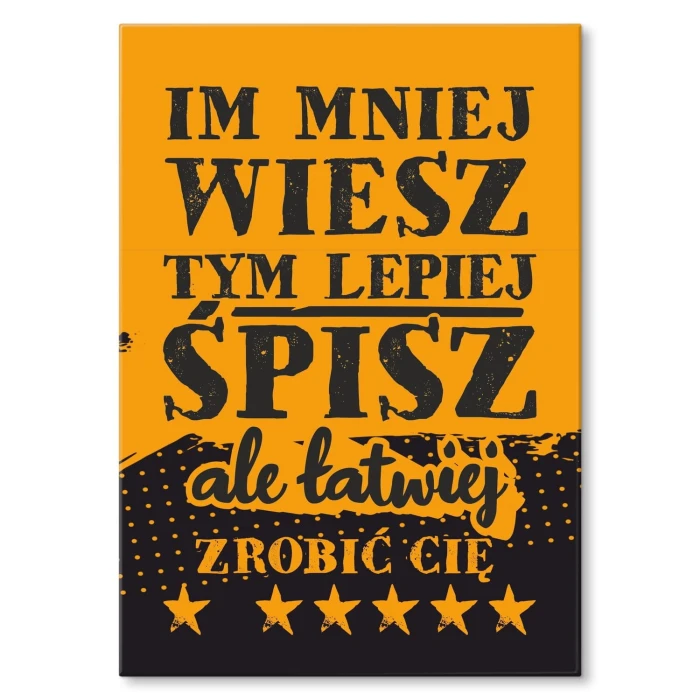 Plakat metalowy im mniej wiesz Prezent