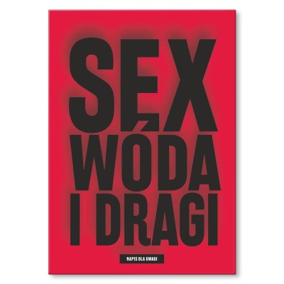 Plakat metalowy sex wóda i dragi Prezent