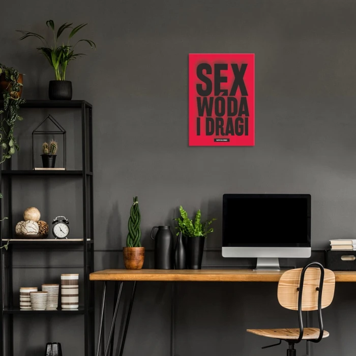 Poster metal sex wóda i dragi gift