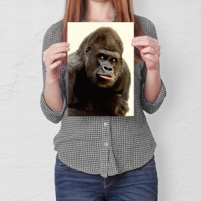 Plakat metalowy Goryl Prezent