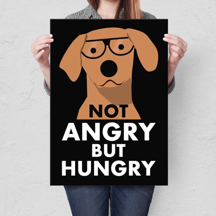 Plakat metalowy Not angry but hungry Prezent