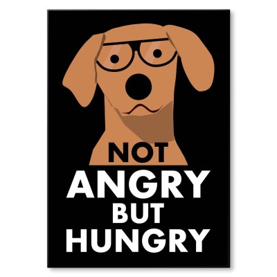 Plakat metalowy Not angry but hungry Prezent